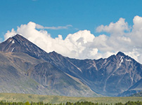 Types of waste - Industrial waste removal