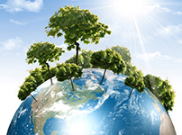 Environmental protection business opportunities from the perspective of waste sorting